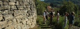 Bergolo201113